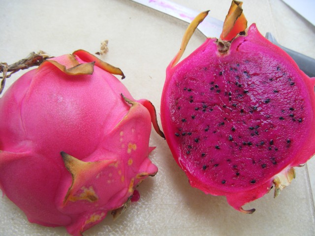 Dragon Fruit by Sara